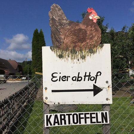 "Zur Alten Schmiede", 70M2 Studio Mit Kaminfeuer Und Sauna Fraubrunnen Exterior photo