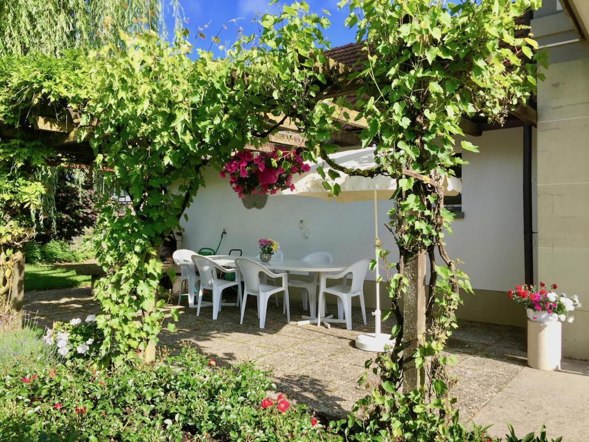 "Zur Alten Schmiede", 70M2 Studio Mit Kaminfeuer Und Sauna Fraubrunnen Exterior photo