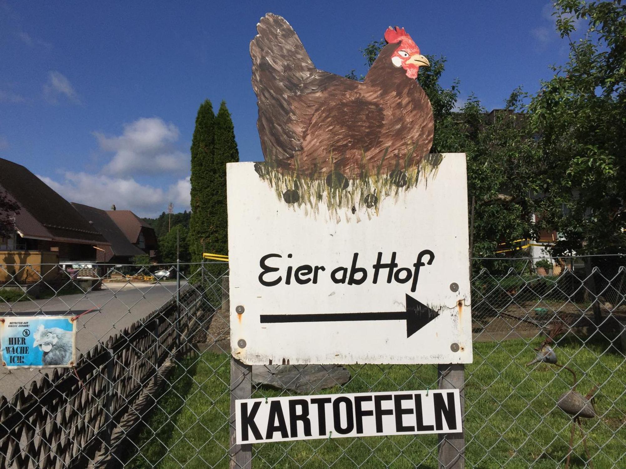 "Zur Alten Schmiede", 70M2 Studio Mit Kaminfeuer Und Sauna Fraubrunnen Exterior photo